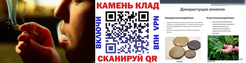 Гашиш Изолятор  Новоаннинский 