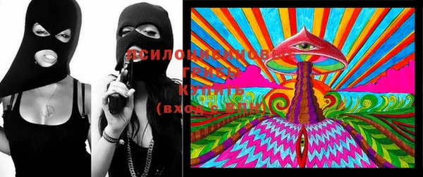 винт Армянск