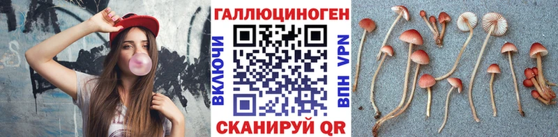 Галлюциногенные грибы Psilocybine cubensis  Новоаннинский 